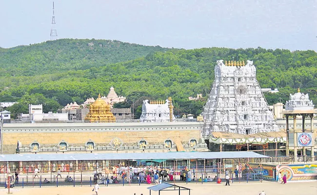 TTD Srivari Darshanam Crowd of devotees in Tirumala is normal - Sakshi