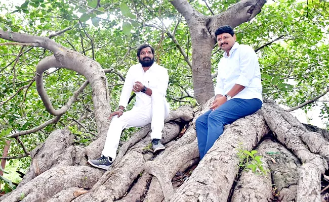 World Second largest Pillalamarri Tree In Mahabubnagar - Sakshi