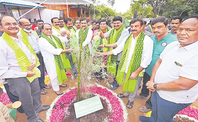 Telangana Minister Indra Karan Reddy Launches Second Phase Of Jammi Plantation - Sakshi