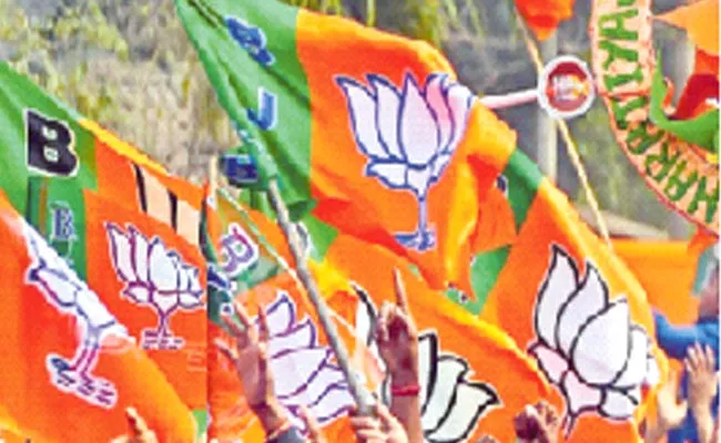 BJP Strategies To Gain Strength With Telangana Liberation Day - Sakshi