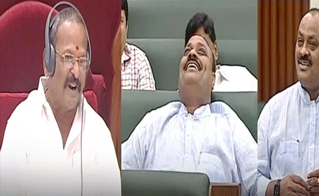 Deputy Speaker Kolagatla Veera Bhadra Swamy Punches on Atchannaidu - Sakshi