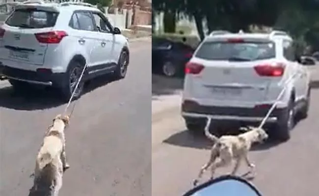 Video Shows Dog Tied To Car Being Dragged In Jodhpur - Sakshi