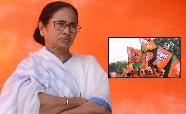 BJP Won 11 Seats In Bengal Cooperative Body Elections - Sakshi