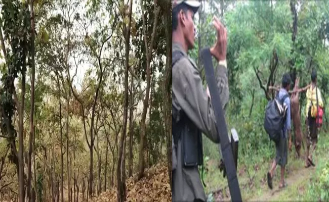 Adilanad: Police On Alert Over Maoist Movement At Boath Forest - Sakshi