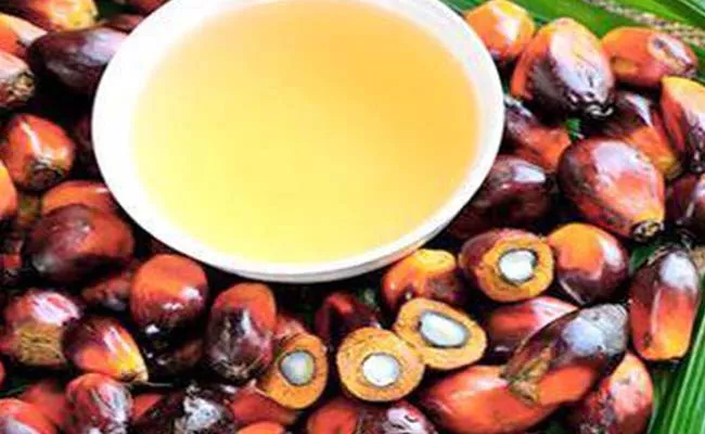 3F Oil Palm to set up rs 250 cr factory in Arunachal Pradesh - Sakshi