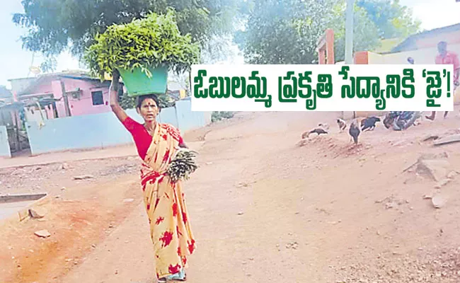 YSR Kadapa District: Bandi Obulamma Selected Jaivik India Award For Nature Farming - Sakshi