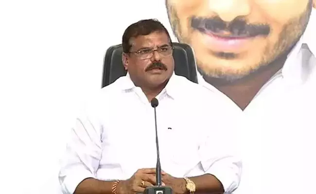 Minister Botsa Satyanarayana Criticizes TDP And Amaravati Padayatra - Sakshi