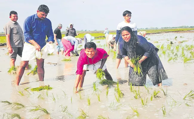 Collectors of paddy fields Andhra Pradesh - Sakshi