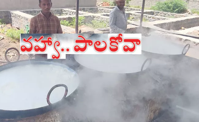 Guvvalacheruvu Palakova: Milk Sweet, Making, Best Palakova in Annamayya District - Sakshi