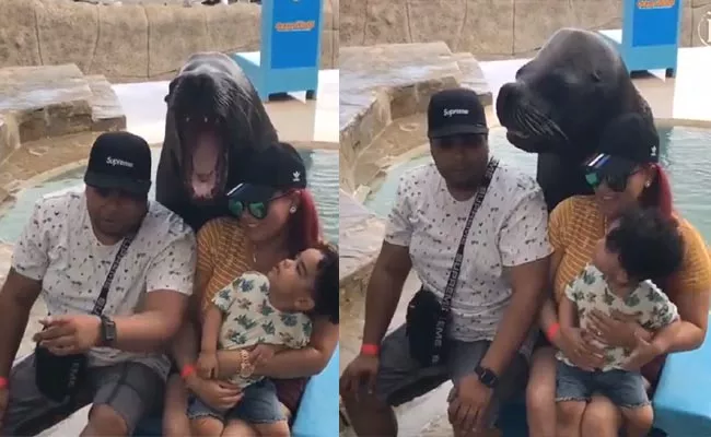 Seal Poses For Picture With Tourists At Theme Park Video Viral - Sakshi