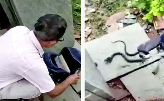 Viral Video: Dangerous Cobra Found Hiding Inside School Girls Bag - Sakshi