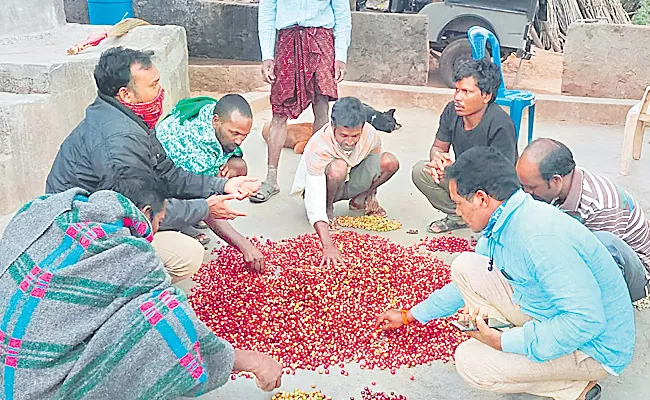 Vizianagaram Maa Bhoomi FPO Helps Organic Farmers To Sell Products - Sakshi