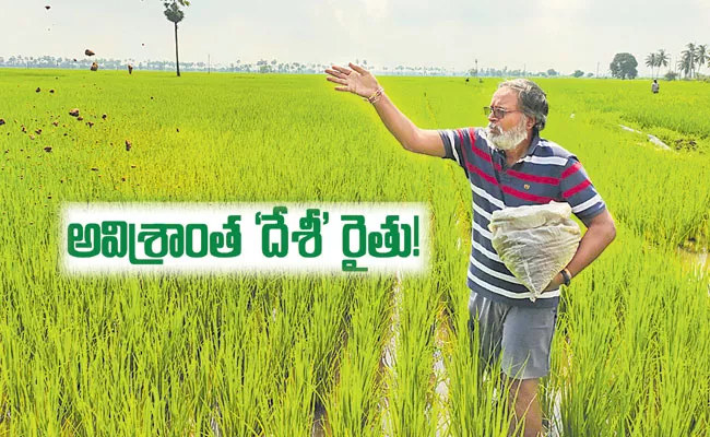 Ghatraju Venkateswara Rao: Paddy Natural Farming in Kolavennu - Sakshi