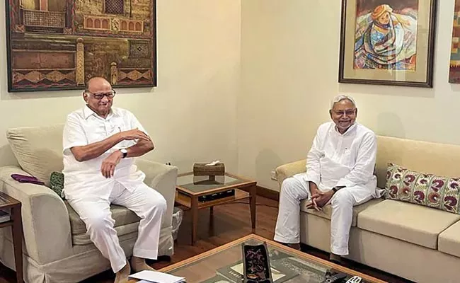 Bihar Cm Nitish Kumar Met NCP Chief Sharad Pawar 2024 Elections - Sakshi