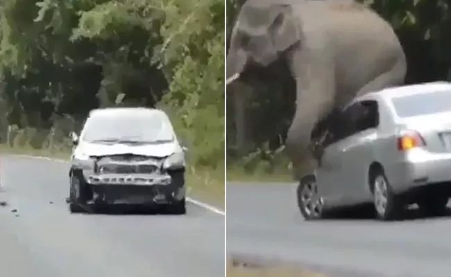 Viral Video: Elephant Damages car to Scratch itself, Internet in Splits - Sakshi