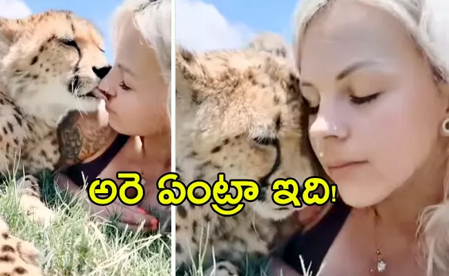 Viral Video: Girl Kisses Cheetah Cuddles With Him, Internet Left Stunned - Sakshi