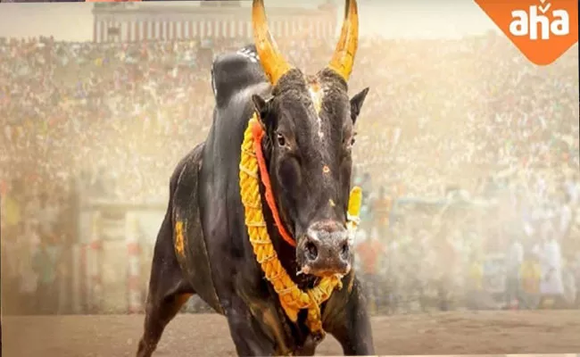 Aha Tamil Vetri Maaran Jallikattu Based Pettaikaali To Stream From Diwali - Sakshi