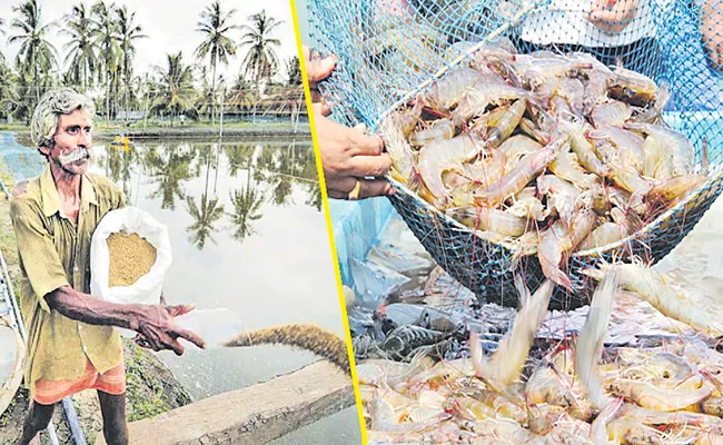 Reduction in price of aqua feed by Andhra Pradesh Govt - Sakshi