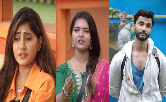 Bigg Boss Telugu 6: Marina Not Supported Rohit - Sakshi