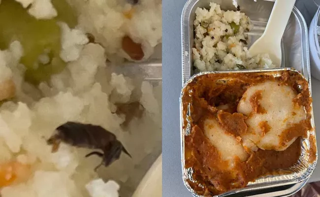 Air Vistara Airline Passenger Nikul Solanki Found A Cockroach In His Packed Food During The Flight - Sakshi