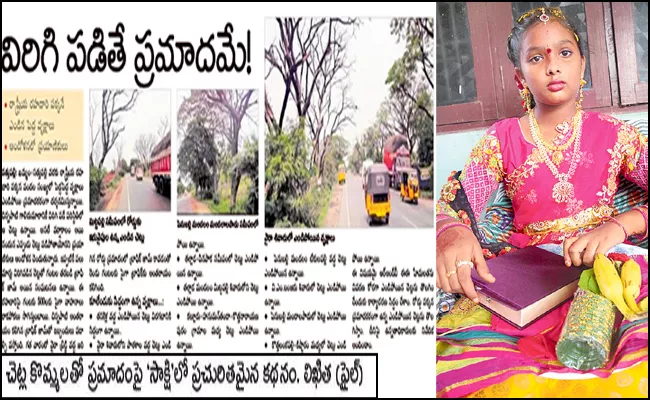 Child Died After Falling Tree Branch In Khammam District - Sakshi