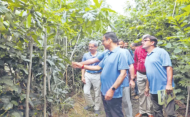 Expansion Of Urban Forest In Secunderabad In 5400 Square Meters - Sakshi