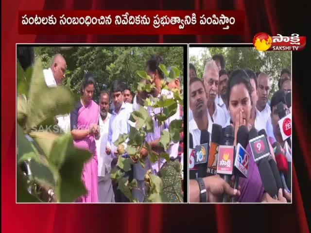 Ap Minister Vidadala Rajini Inspects Rain Damaged Crops at Palnadu