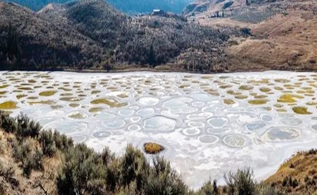 Canada Spotted Lake Interesting Facts In Telugu - Sakshi