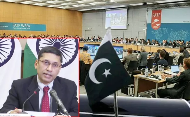 India Reacts On Pakistan out of FATF Grey List - Sakshi