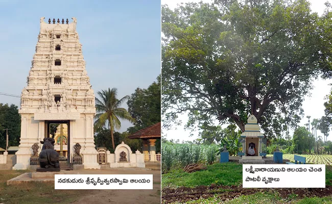 Narakasura Massacre Took Place, Prudhveeshwara Swamy Temple Nadakuduru - Sakshi