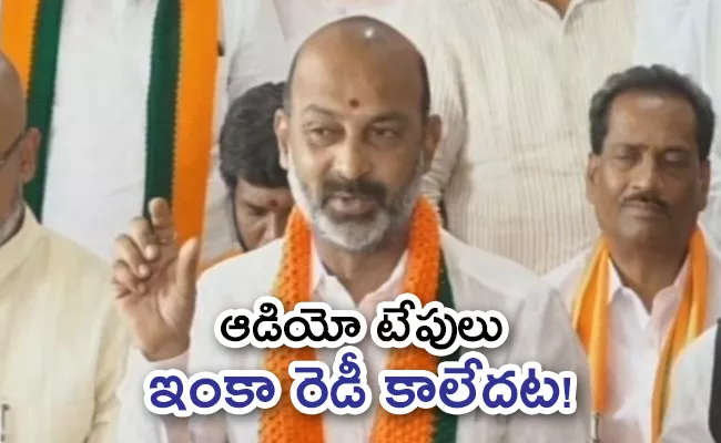 Telangana BJP Chief Bandi Sanjay Comments On CM KCR - Sakshi