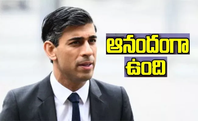 Telugu NRIs Expressed Happiness over Rishi Sunak Elected as a Britain PM - Sakshi