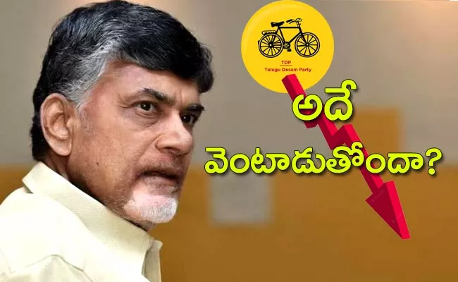 TDP Graph That Fell Into Kuppam - Sakshi