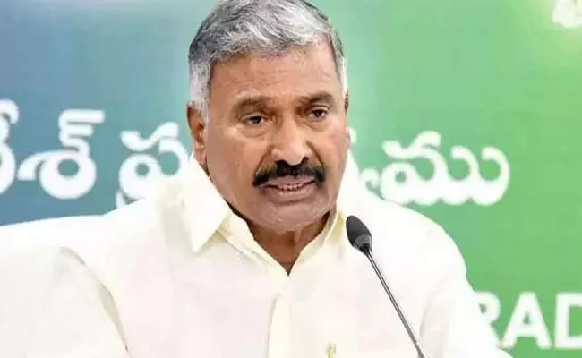 Peddireddy Ramachandra Reddy Serious On Eenadu And TDP - Sakshi