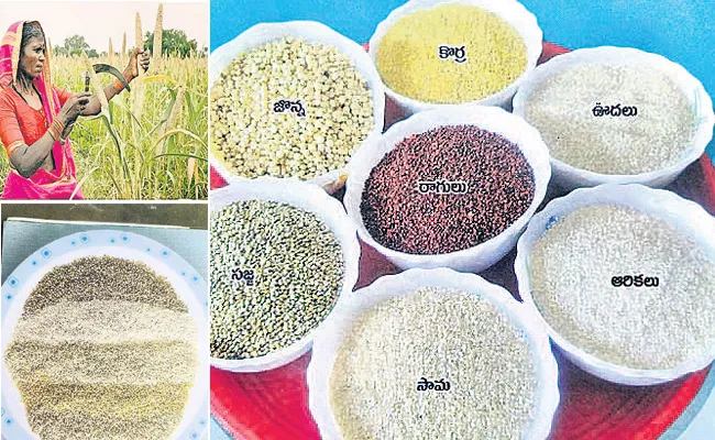 Who Declared 2023 International Millets Year - Sakshi