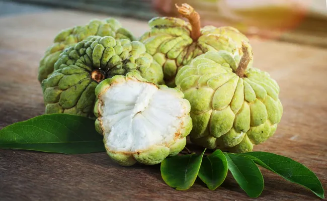 Health Tips: Amazing 9 Benefits Of Custard Apple Sitaphal In Telugu - Sakshi