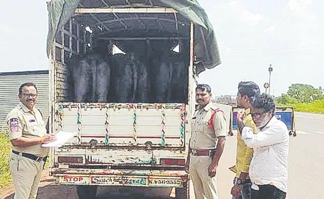 Sangareddy District: Special Check Post at Telangana Border For Cattles - Sakshi