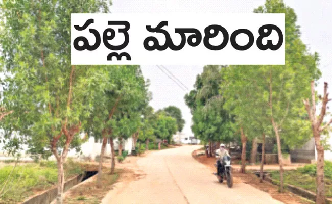 Konaraopet: Bausaipeta Village Changed in Rajanna Sircilla District - Sakshi