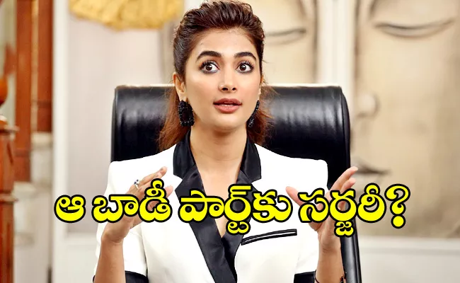 Pooja Hegde Team Denied Rumours Of Her Cosmetic Surgery - Sakshi