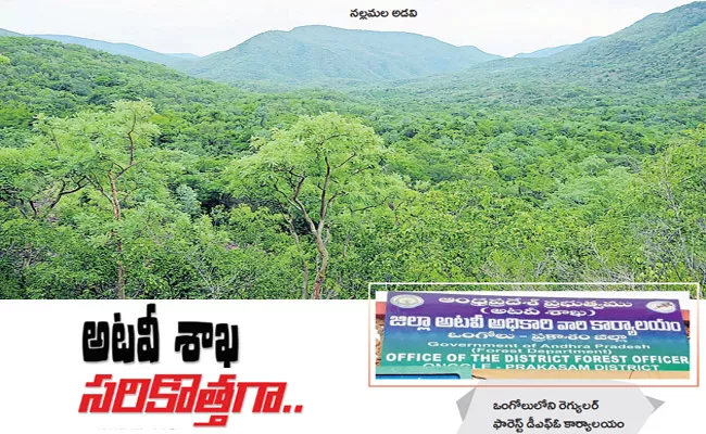 Forest Department:Regular DFO Office In Ongole - Sakshi