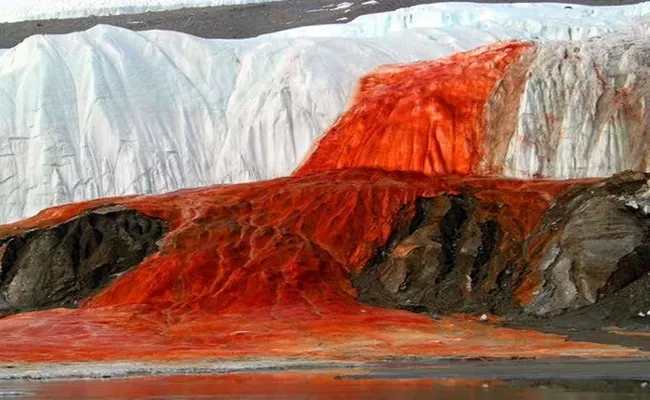 Did You Know About The Blood Falls in Antarctica - Sakshi