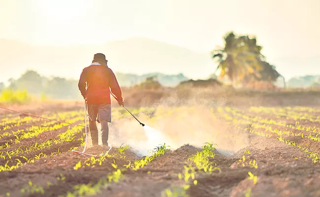 Centre Govt Restricts Use Of Herbicide Glyphosate Over Health Hazards - Sakshi