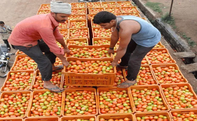 Tomato Prices Falling in Market Annamayya District - Sakshi