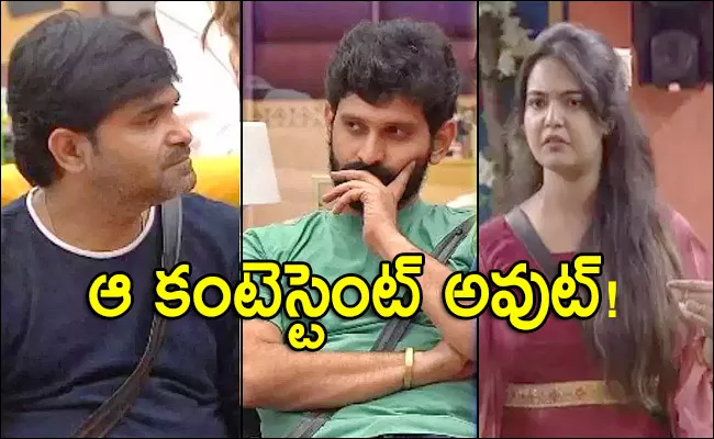 Bigg Boss Telugu 6: These Contestant Will Be Eliminate For This Week - Sakshi