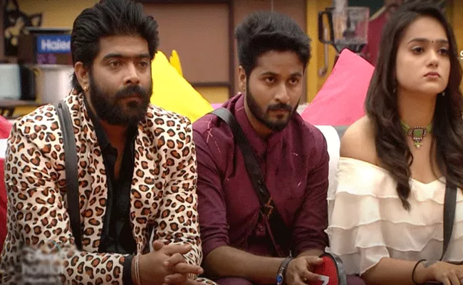 Bigg Boss Telugu 6:Hit And Flop Contestants list - Sakshi