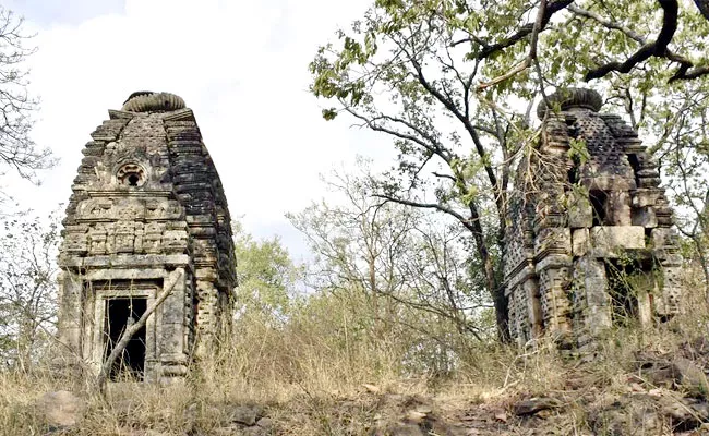 ASI Find Buddhist Caves Madhya Pradesh Bandhavgarh Tiger Reserve - Sakshi