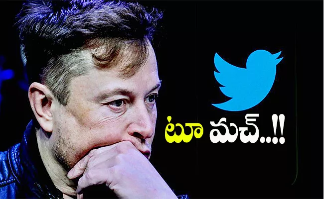 Elon Musk Said Twitter Spends 13 Million A Year On Food Service In Office - Sakshi