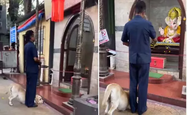 Viral Video: Dog Paying Respect To Lord Ganesha At Pune - Sakshi