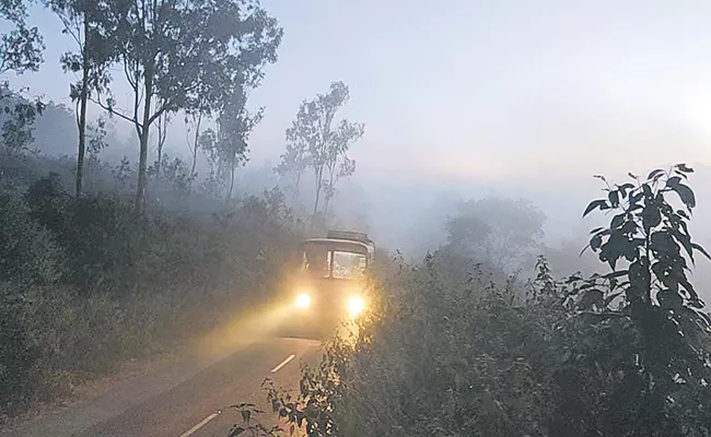 Huge Cold Winter Intensity in Andhra Pradesh Manyam - Sakshi