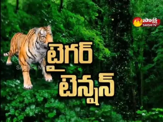 Tiger Tension In Komaram Bheem District  